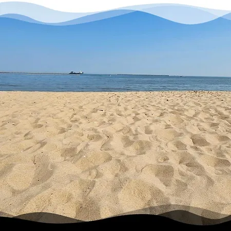 • Silvia • * 格但斯克