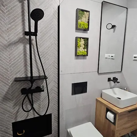 Апартаменты • Silvia • *